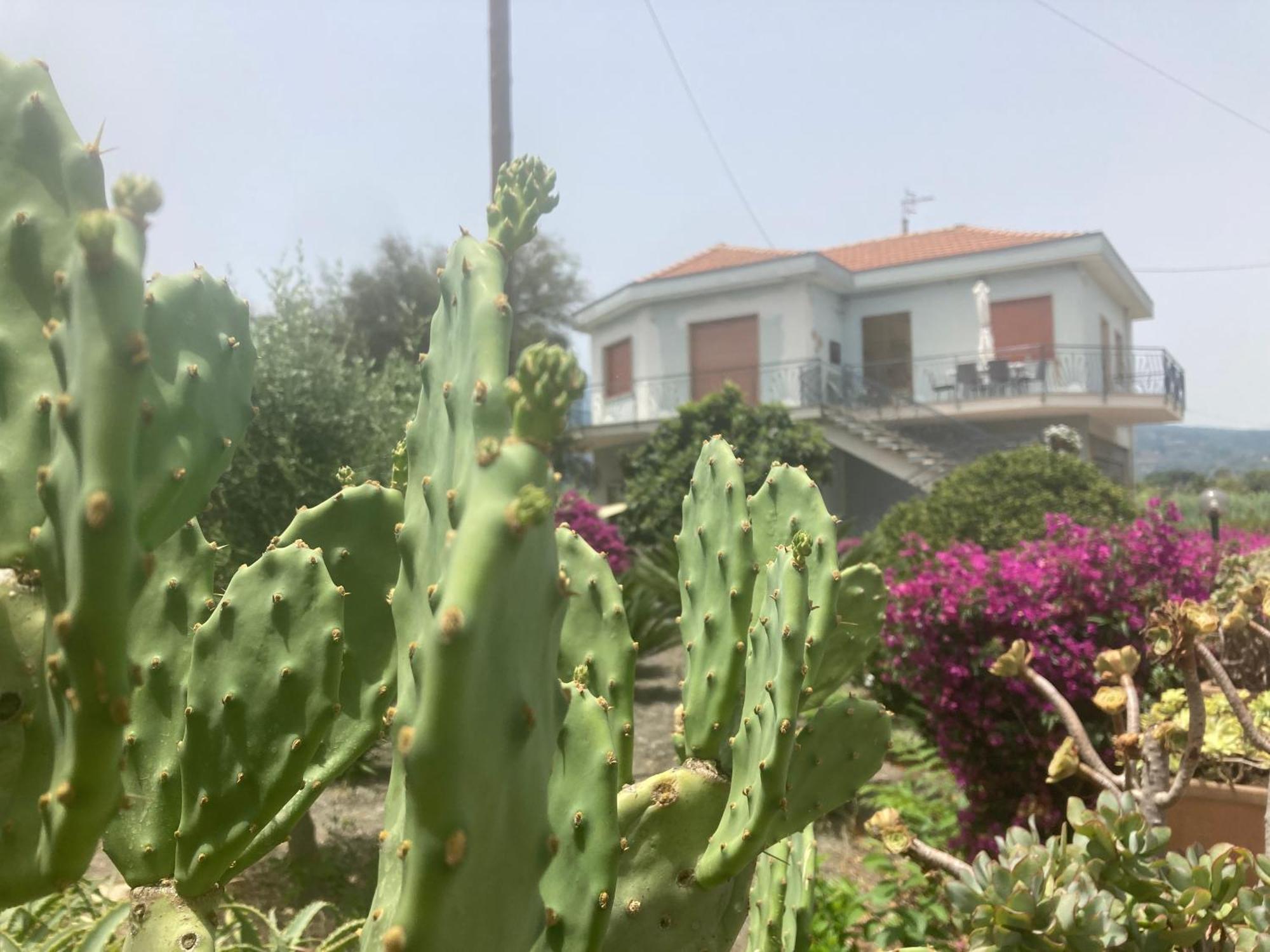 Villa Con Piscina Esclusiva Vista Etna Mascali Buitenkant foto