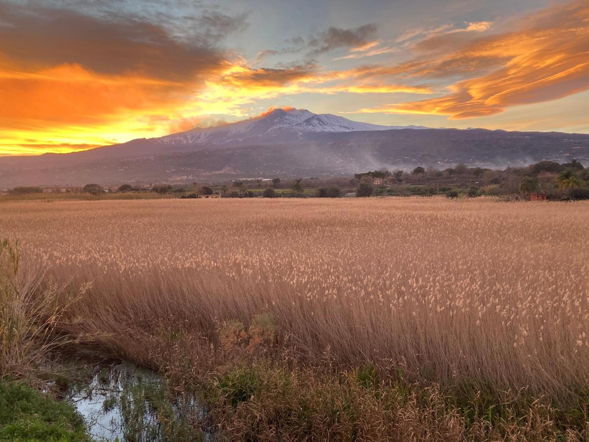 Villa Con Piscina Esclusiva Vista Etna Mascali Buitenkant foto