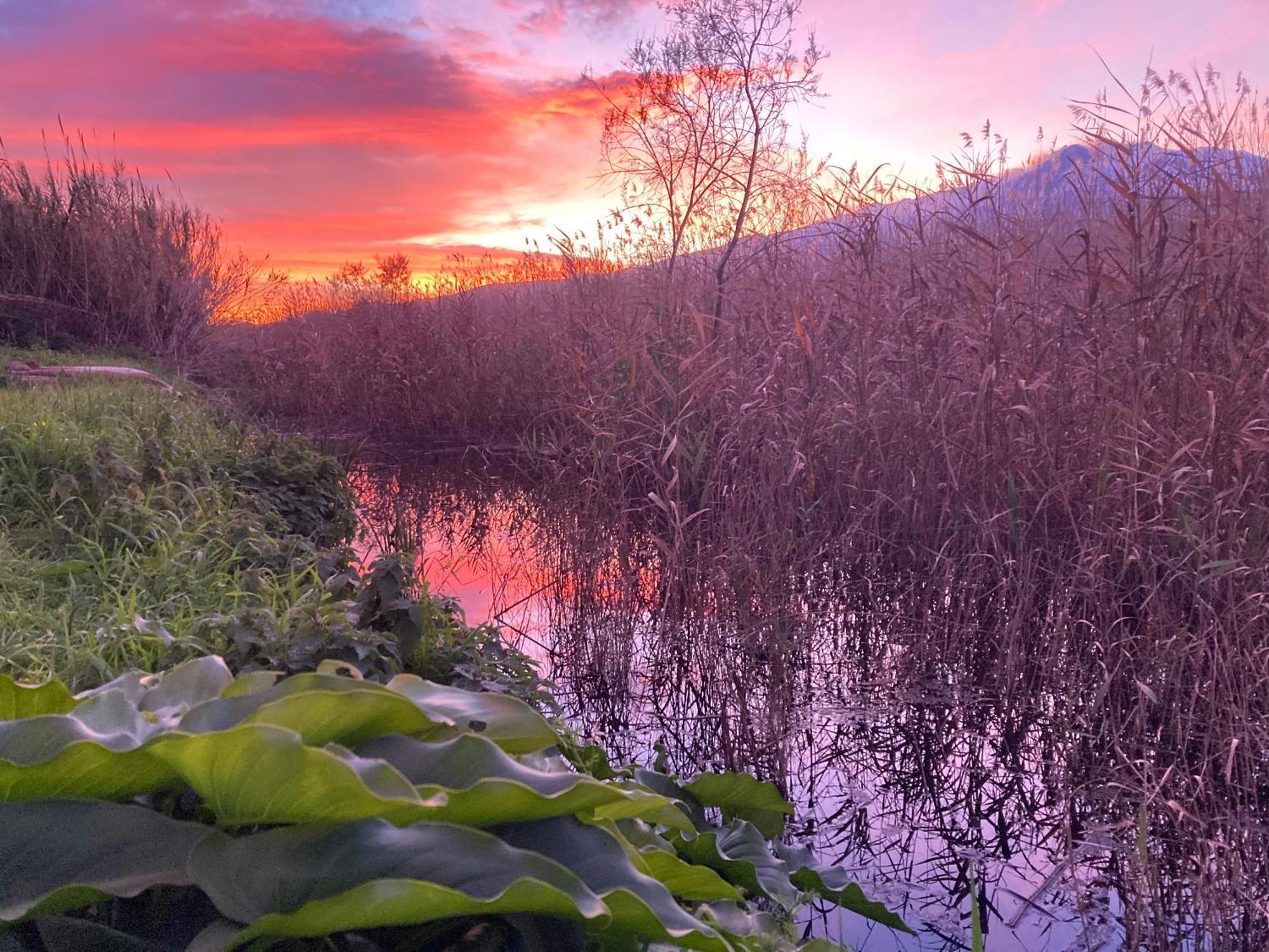 Villa Con Piscina Esclusiva Vista Etna Mascali Buitenkant foto